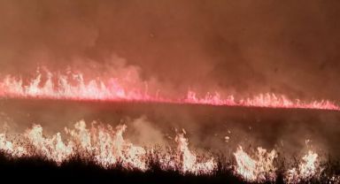 Sultan Sazlığı Milli Parkı'nda yangın