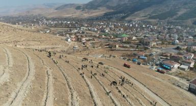 Yahyalı'da binlerce fidan toprakla buluştu