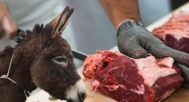 Yeni at ve eşek eti skandalı: Listede ünlü şirketler de var!