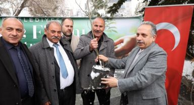 Başkan Yalçın'dan muhtarlara kestane fidanı