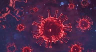 Ebola virüsü yeniden hortladı! Belirtileri...