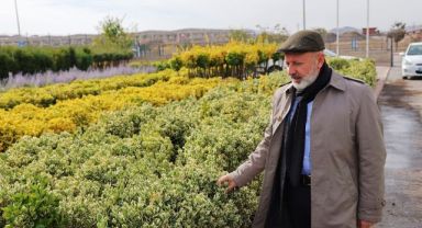 Kayseri'nin yeşil örtüsü Kocasinan'da filizleniyor
