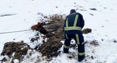 Kayseri OSB İtfaiyesi bataklığa saplanan yılkı atını kurtardı
