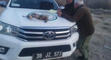 Yasa dışı ava suçüstü