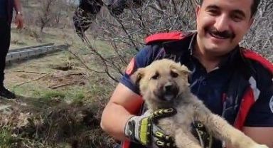 Kuyuya düşen minik köpeği itfaiye ekipleri kurtardı
