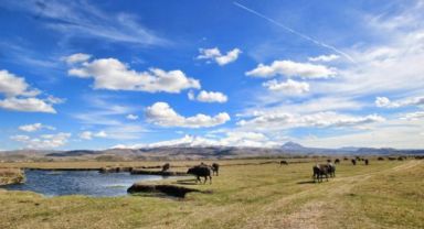Kayseri'de Hürmetçi Sazlığı'ndaki zorbalıkta 3 sanık hakkında 10’ar yıla kadar hapis istemi