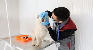 Talas Pati Evi, sahipsiz canlara yuva oluyor