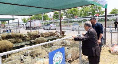 Başkan Yalçın’dan kurban pazarı ziyareti: