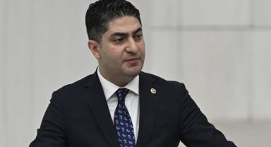 MHP'li Özdemir'den kene ısırığına soru önergesi