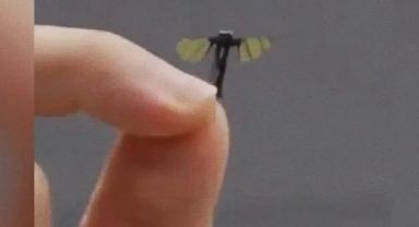 Nano-teknolojide devrim: Çin ordusu, sinek büyüklüğünde drone üretti