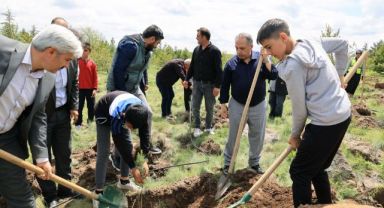 Talaslı çocuklar, Süleymanlı'da geleceğe umut fidanı dikti