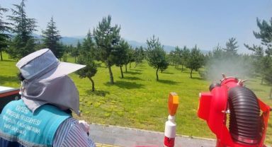 Yeşil alanlarda ilaçlama çalışması sürüyor