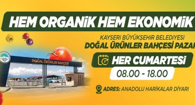 Büyükşehir belediyesi
