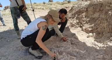 Anadolu’daki yaşam 7,7 milyon yıla ulaştı