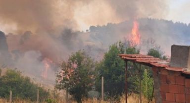 Bursa’daki Orman Yangınları 3. Gününde: 10 Mahalle Tahliye Edildi, Müdahale Sürüyor