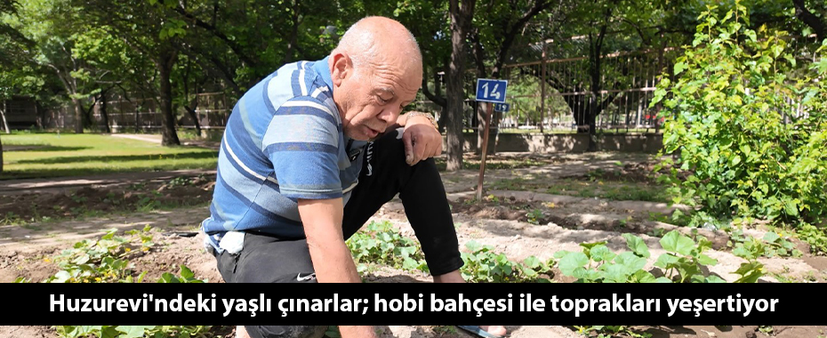 Huzurevi'ndeki yaşlı çınarlar; hobi bahçesi ile toprakları yeşertiyor