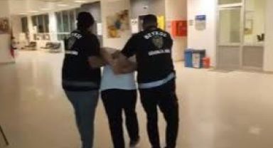 İstanbul Beykoz'da İşaret Fişeği Orman Yangınına Neden Oldu: 22 Yaşındaki Şüpheli Tutuklandı