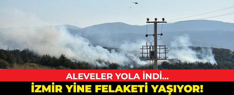 İzmir’de Orman Yangınları Korkuttu: Urla ve Aliağa’daki Alevler Kontrol Altına Alındı