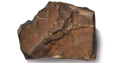 Mars’tan Gelen En Büyük Meteorit Satıldı: Bilim Dünyası ve Koleksiyoncular Arasında Tartışma Büyüyor