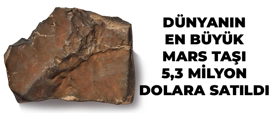 Mars’tan Gelen En Büyük Meteorit Satıldı: Bilim Dünyası ve Koleksiyoncular Arasında Tartışma Büyüyor