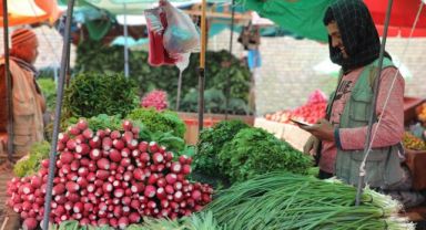 Afganistan Parası Afgani Güçleniyor: Bankacılık ve Finansal Destek Artıyor