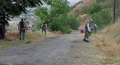 Ali Dağı'nda yangına karşı üst düzey önlem