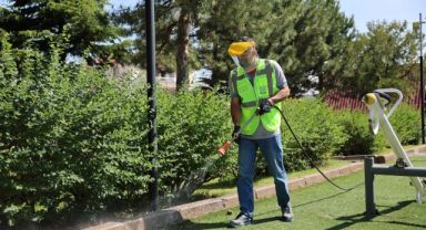 Hacılar'da haşereye karşı etkin mücadele