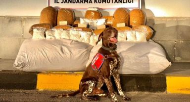 Jandarma Kayseri'de suça geçit vermiyor