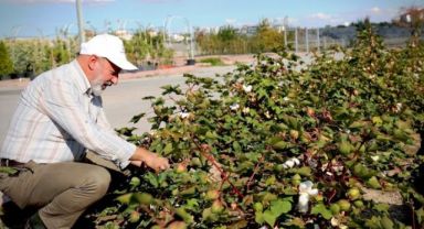 Başkan Çolakbayrakdar: