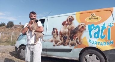 Belediye ekipleri nefes kesen operasyonla yavru köpeği kurtardı