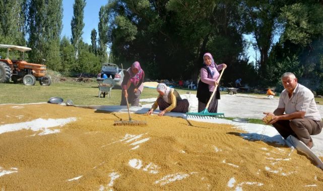 Develi’de Gelenek Yaşatılıyor: Seten Taşıyla Bulgur Ve Yarma Üretimi