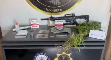 Kayseri'de 287 kök kenevir ele geçirildi: 1 gözaltı