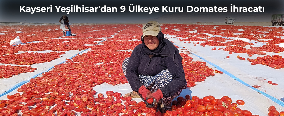 Kayseri Yeşilhisar'dan 9 Ülkeye Kuru Domates İhracatı