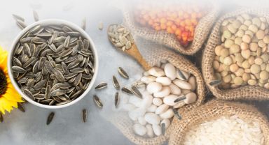Pan-Pa Siyah Çekirdek Alımlarına Başladı