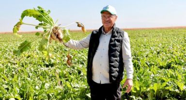 Akay: “Pancar Tarımı Stratejik Bir Değer”