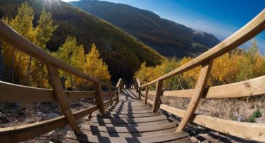 Doğaseverlerin Kayseri'deki saklı hazinesi: Ortaseki Ormanları