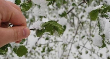 Meteoroloji’den Kayseri İçin Zirai Don Uyarısı