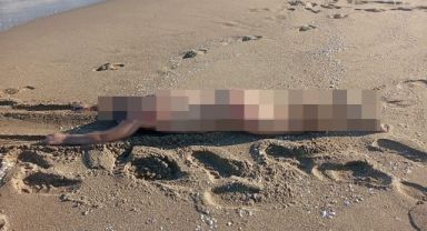 Sakarya’da sahilde çıplak erkek cesedi bulundu