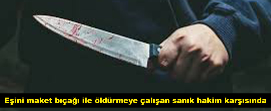 Eşini maket bıçağı ile öldürmeye çalışan sanık hakim karşısında