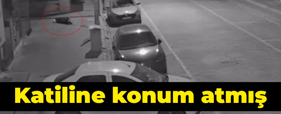 Katiline konum atmış