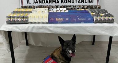 Kayseri'de Tırda Gizlenmiş 500 Paket Kaçak Sigara Ele Geçirildi!