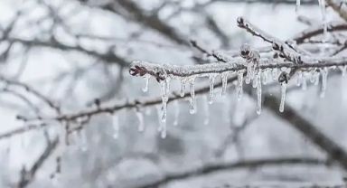 Meteoroloji Uyardı: Bölge Genelinde Sis, Buzlanma ve Don Riski!