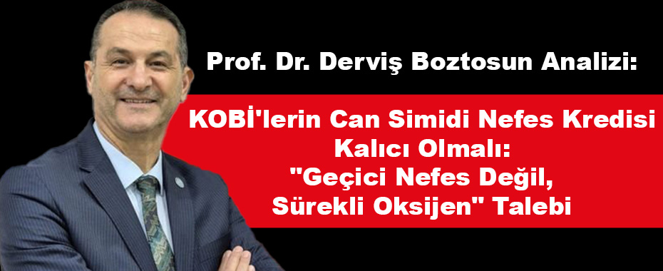 Prof. Dr. Derviş Boztosun Analizi: KOBİ'lerin Can Simidi Nefes Kredisi Kalıcı Olmalı: