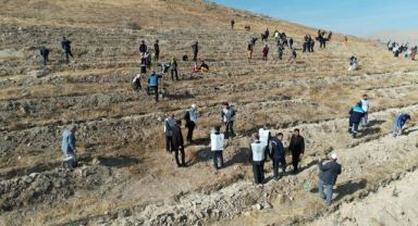 ‘Şahidimiz Toprak, İmzamız Fidan, Sevdamız Yeşil Vatan’ Yahyalı’da hayat buldu