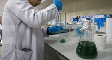 Türk Bilim İnsanlarından Devrim Niteliğinde Güneş Kremi: Tamamen Doğal ve Çift Etkili