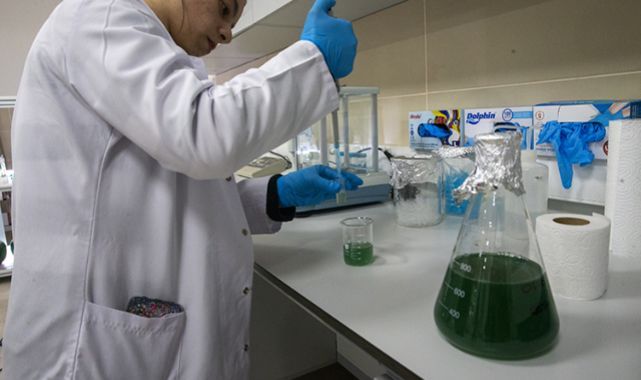 Türk Bilim İnsanlarından Devrim Niteliğinde Güneş Kremi: Tamamen Doğal ve Çift Etkili