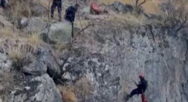 Uçurumda mahsur kalan keçi kurtarıldı