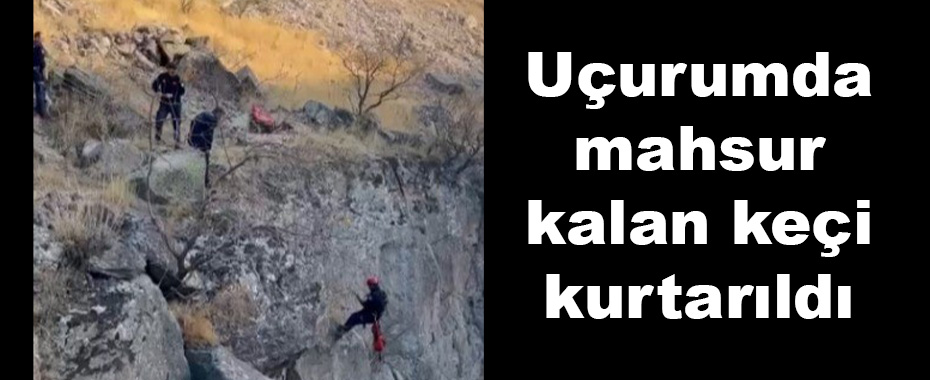 Uçurumda mahsur kalan keçi kurtarıldı
