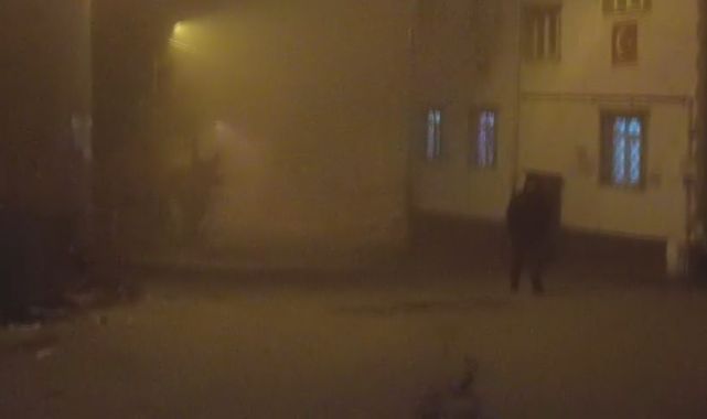 Develi’de yoğun sis etkili oldu