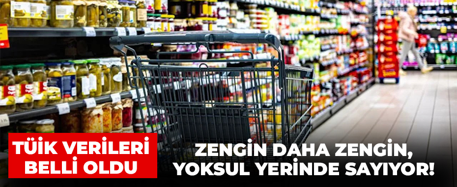 Gelir Dağılımında Adalet Aranıyor: En Zengin %20 Pastanın Yarısını Aldı!